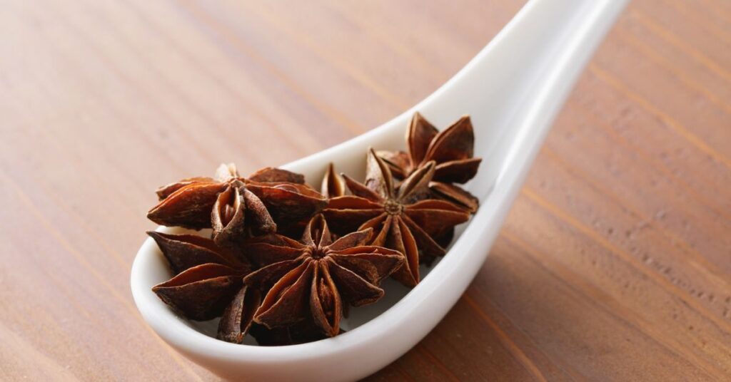 dried star anise