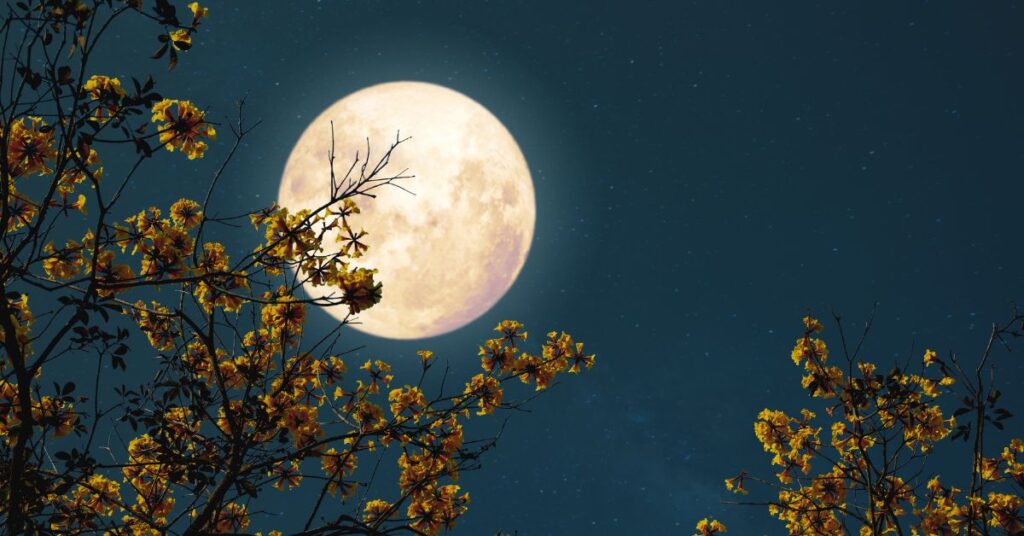 Moonlight Charging and Cleansing