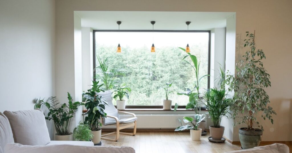 natural plants
