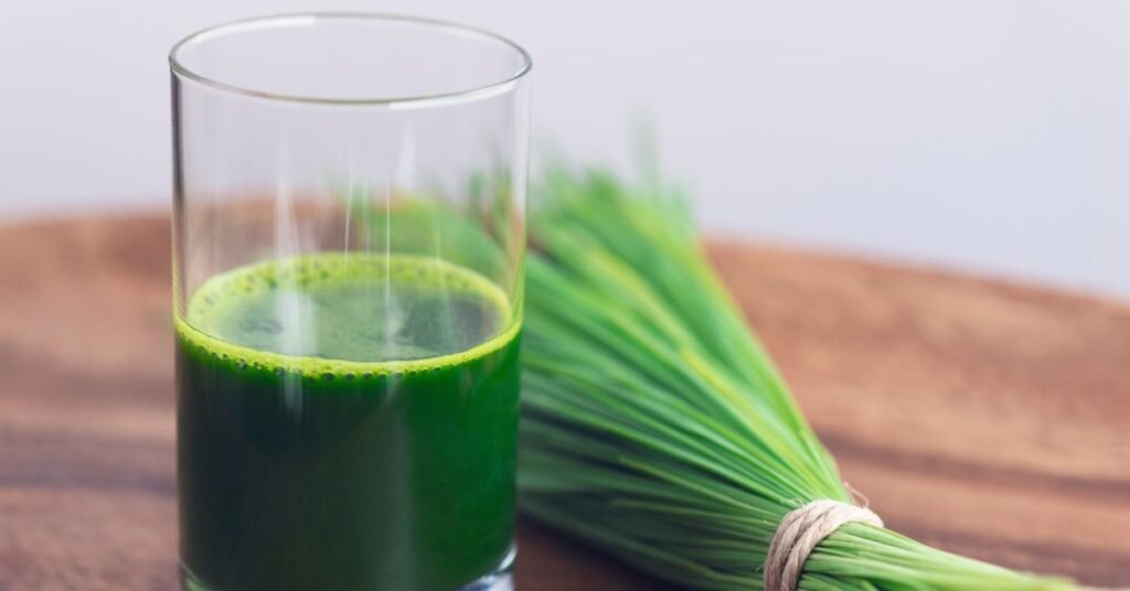 Fresh Wheatgrass