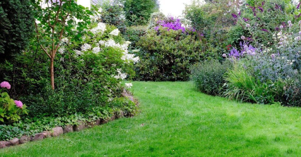 garden