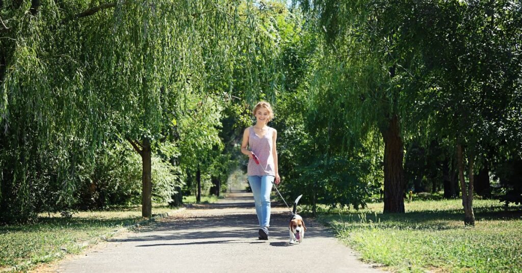 walking meditation