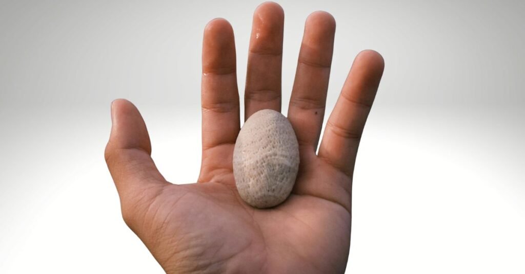 crystal Palm Stones 